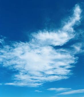 空 空 空,青い,青い空の写真素材