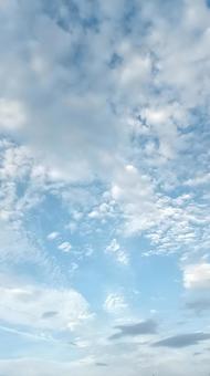 空の広さ 空,青,雲の写真素材