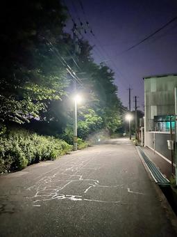 夜の道 夜の道の写真