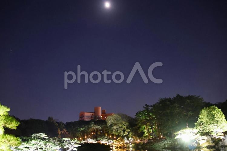 １１月下旬の栗林公園の紅葉のライトアップ 背景,紅葉,葉の写真素材