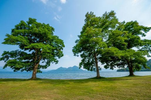 夏の洞爺湖と緑の大樹 夏の洞爺湖と緑の大樹 洞爺湖,湖畔,木陰の写真素材