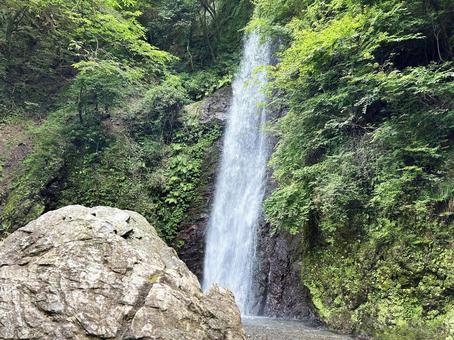 緑に包まれた滝 緑に包まれた滝 滝,新緑,水の写真素材