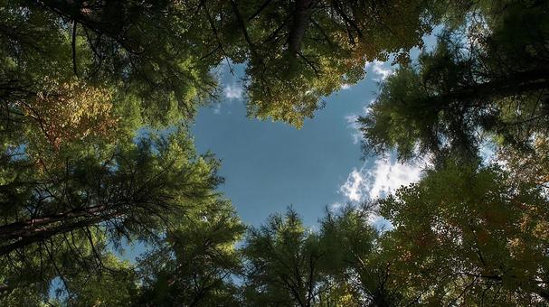 大自然に包まれる空の風景の写真