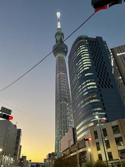 スカイツリー 夕暮れ スカイツリー 夕暮れの写真