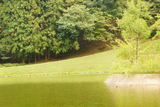 池 池の写真