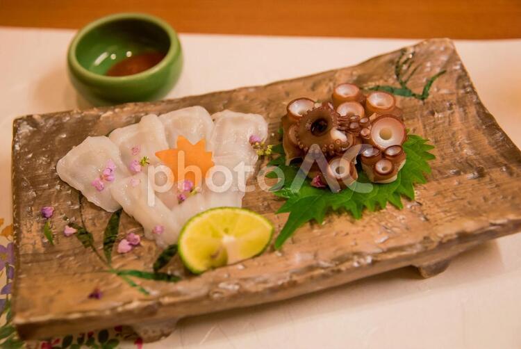 明石蛸の薄造り／懐石料理 お出汁,お刺身,お造りの写真素材