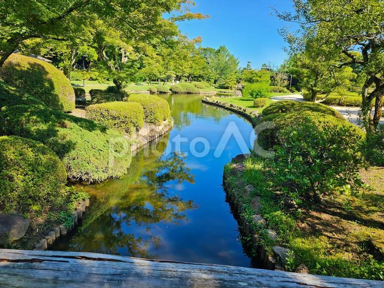 公園の池 公園,偕楽園,水戸の写真素材