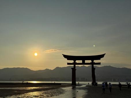 夕日と厳島神社の鳥居① 夕日と厳島神社の鳥居① 夕日,夕焼け,フォトジェニックの写真素材