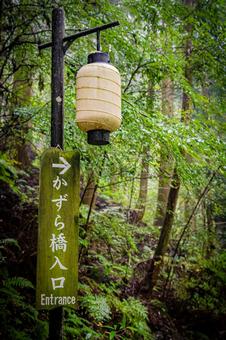 四国　徳島　祖谷のかずら橋 四国,四国地方,徳島の写真素材