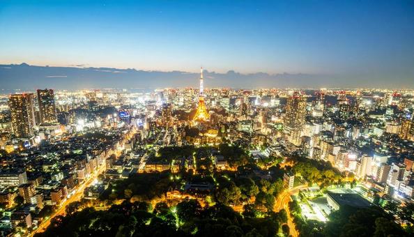 きらびやかな夜景 きらびやかな夜景の写真