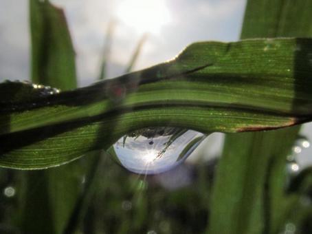 Photo, water droplets, drop, rain, 