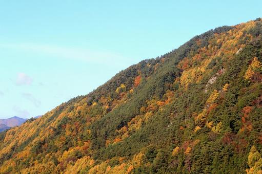 紅葉の山と青空　秋の長野上田市風景 山,青空,紅葉の写真素材