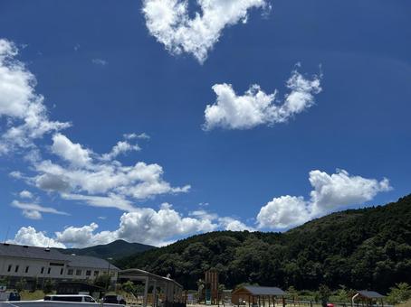 田舎の夏の空と緑 夏,空,緑の写真素材