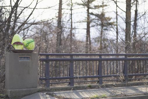 長野県南佐久郡川上村にある川上大橋 長野県南佐久郡川上村にある川上大橋の写真