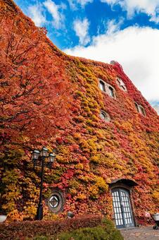 北海道　札幌ファクトリーの秋の風景 北海道,札幌,札幌市の写真素材