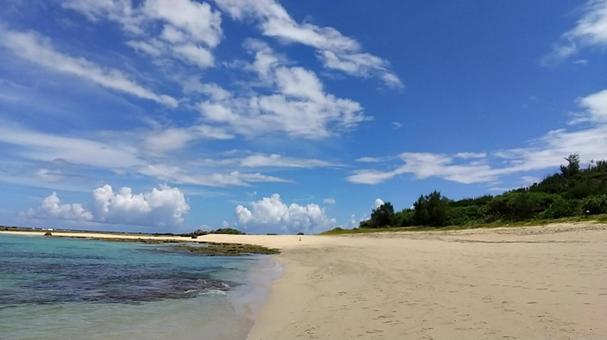 奄美の海 奄美の海 海,うみ,景色の写真素材