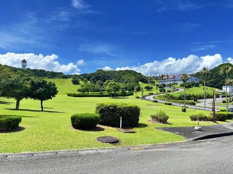 公園 夏の風景 夏の日差し 公園 夏の風景 夏の日差し 太地町森浦,公園,公共施設の写真素材