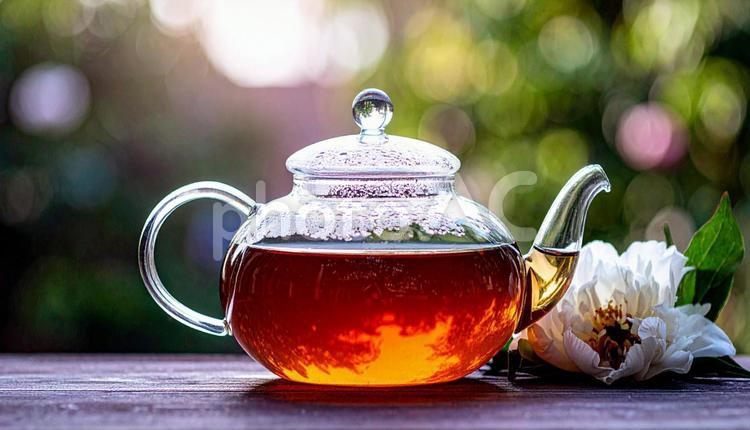 ガラスの急須に入った美しい台湾茶　中国茶 台湾茶,中国茶,工芸茶の写真素材