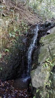 滝 滝の写真