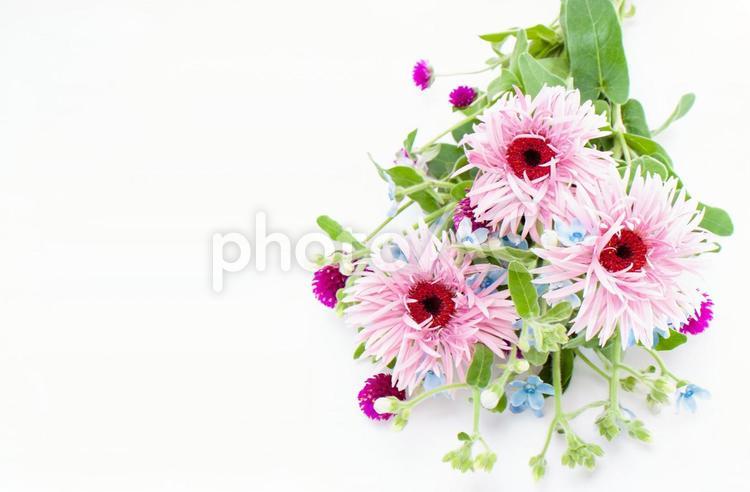 ピンクとブルーの3種花束素材 花,ピンク,ガーベラの写真素材