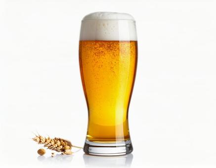 ビール6 ビール6の写真