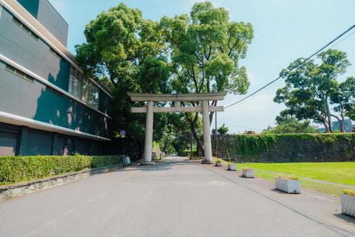 Photo, wakayama, wakayama city, 2025, 