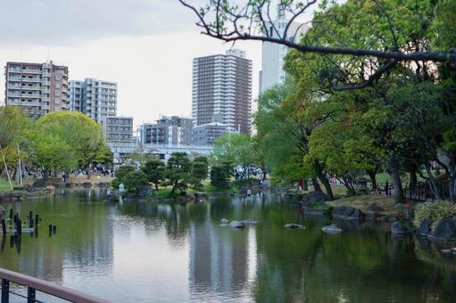 池のある公園 風景,池,公園の写真素材