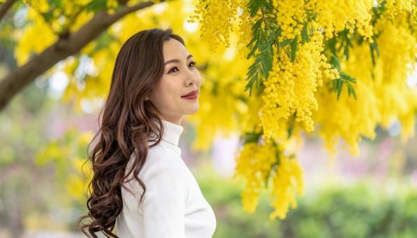 ミモザを鑑賞する日本人女性 ミモザを鑑賞する日本人女性の写真