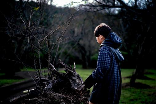 <素材>夜明けの自然公園を散策する男の子 <素材>夜明けの自然公園を散策する男の子の写真