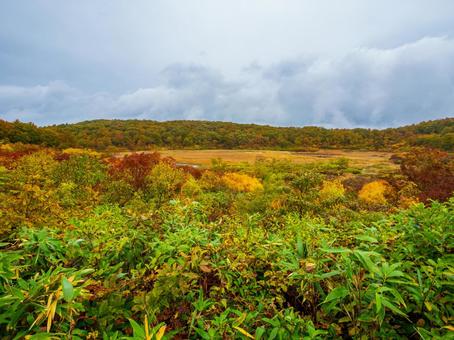 紅葉の栗駒山(須川岳) 紅葉の栗駒山(須川岳) 栗駒山,須川岳,神の絨毯の写真素材