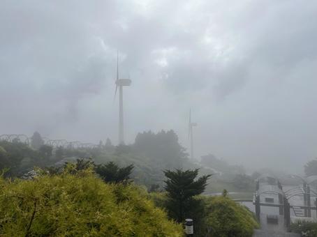 Photo, kochi prefecture, ootake-cho, play with the wind, 