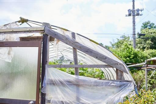 紫外線強風でボロボロなったビニールハウス 紫外線強風でボロボロなったビニールハウス ビニールハウス,破れた,ボロボロの写真素材