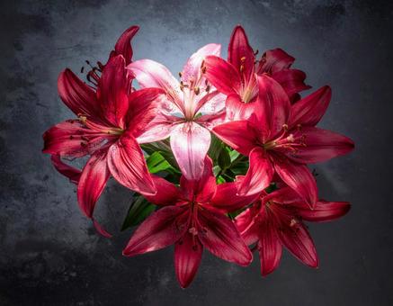 花 花の写真