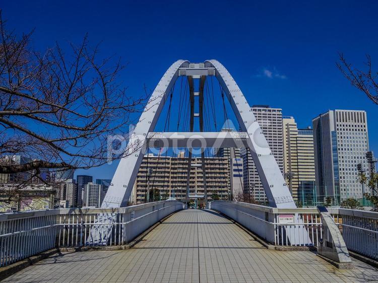 【東京都】東品川水辺広場・アイル橋 【東京都】東品川水辺広場・アイル橋 アイル橋,東品川水辺広場,東品川海上公園の写真素材