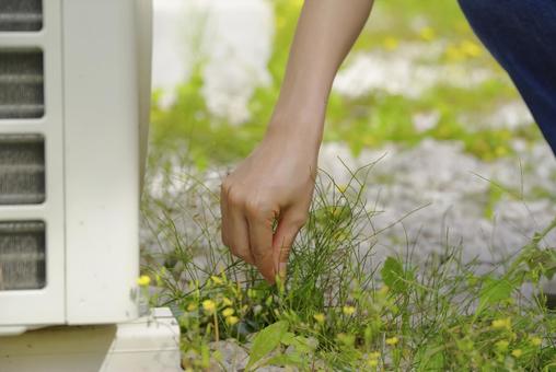 庭の草取りをする女性 庭の草取りをする女性 草むしり,除草,草取りの写真素材