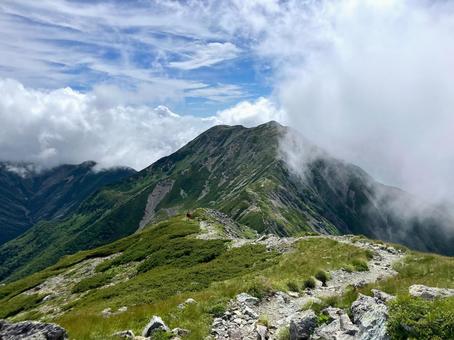 夏の悪沢岳へ登山43 夏の悪沢岳へ登山43 南アルプス,悪沢岳,荒川岳の写真素材