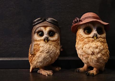 Owl plush, JPG Owl plush, JPG