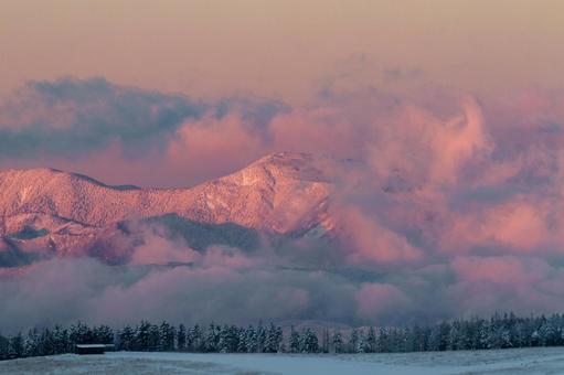 モルゲンロートに染まる雪山 雪山,山,朝焼けの写真素材