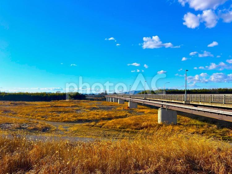 小山総合公園から望む石ノ上橋の風景 石ノ上橋,大橋,小山の写真素材