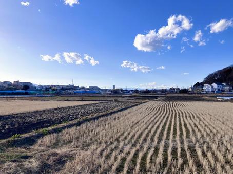 青空と田園の風景 青空と田園の風景の写真