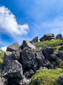 北八ヶ岳坪庭自然園散策周遊コース 北八ヶ岳坪庭自然園散策周遊コースの写真