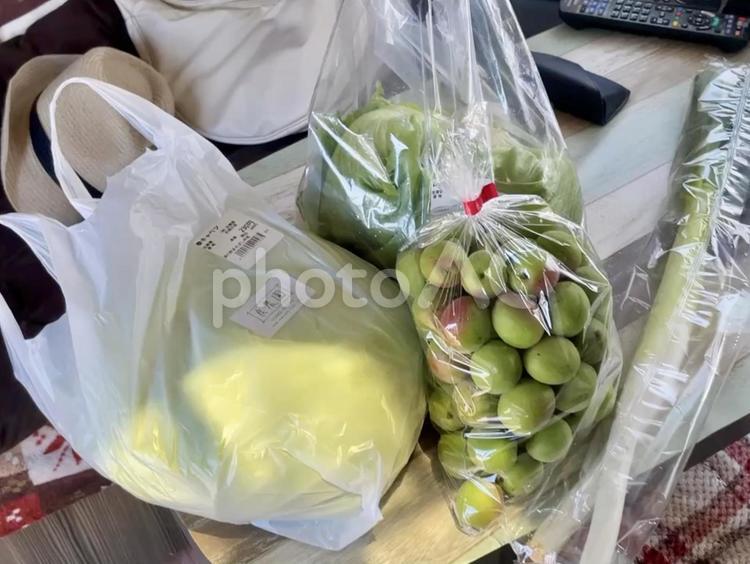 買い物　野菜　梅　青梅 買い物,野菜,キャベツの写真素材