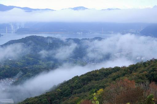 五老ヶ岳公園から見た京都府舞鶴湾の雲海 五老ヶ岳公園から見た京都府舞鶴湾の雲海の写真