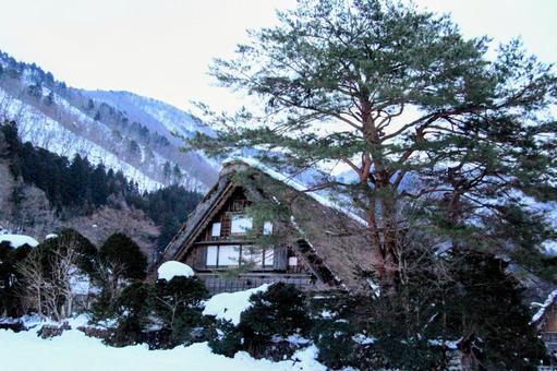 白川郷 白川郷の写真