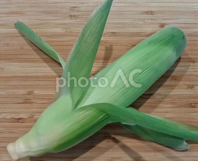 皮付きのとうもろこし トウモロコシ,コーン,黄色の写真素材