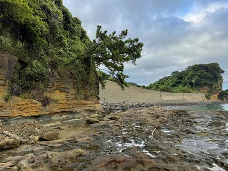 山口県彦島 竹ノ子島の磯辺 山口県彦島 竹ノ子島の磯辺 瀬戸内海,関門海峡,雲の写真素材