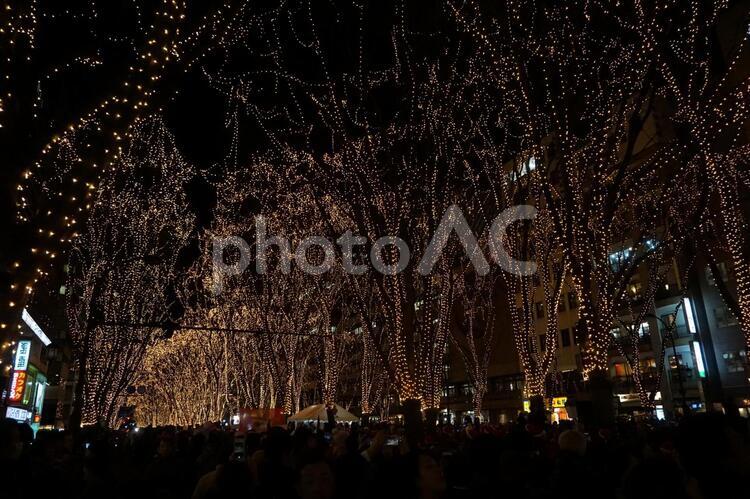 仙台のクリスマスイルミネーション　 イルミネーション,クリスマス,仙台の写真素材