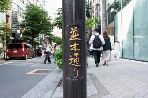 銀座並木通り 銀座,並木通り,街並みの写真素材
