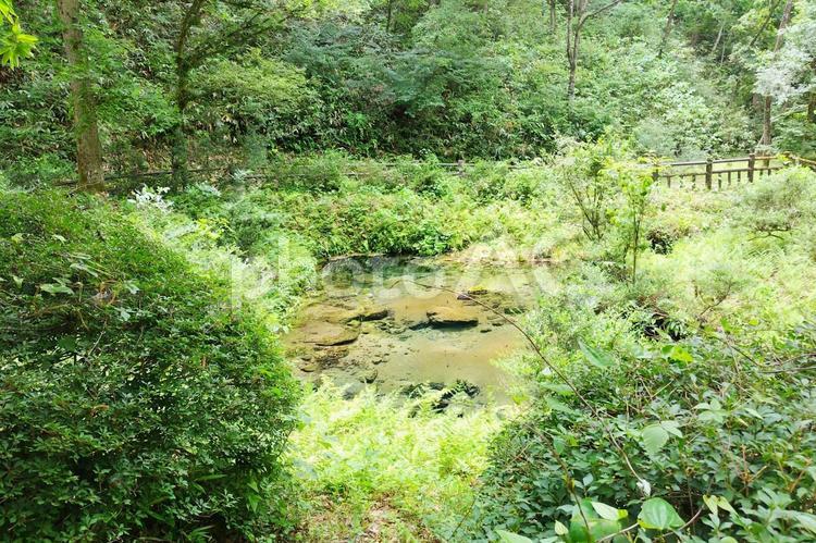 【岡山県】塩釜の冷泉 冷泉,塩釜冷泉,塩釜の冷泉の写真素材