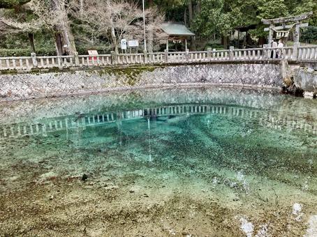 別府弁天池 別府弁天池の写真